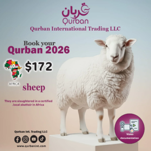 A sheep sacrifice in Africa