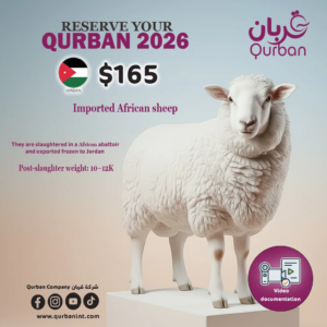 African sheep meat Qurban to Jordan