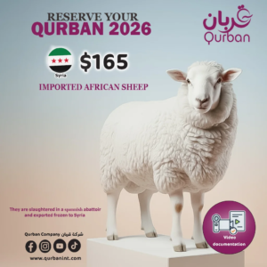 African sheep meat Qurban to SYria