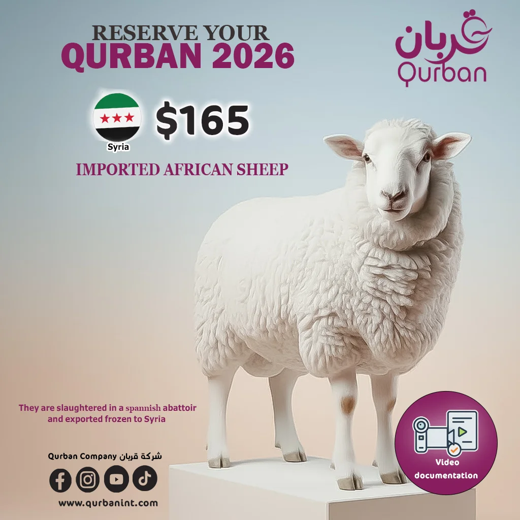 African sheep meat Qurban to SYria