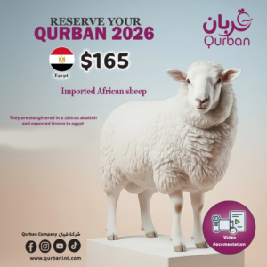 African sheep meat Qurban to egypt