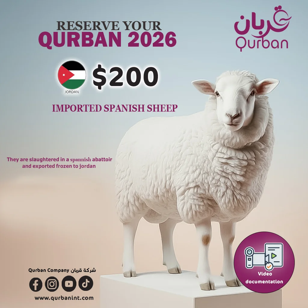 imported lamb qurban to Jordan