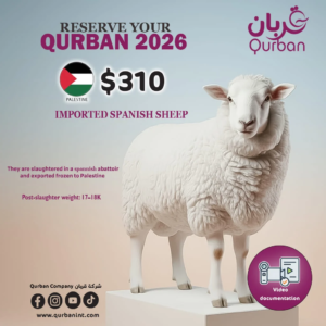 Qurban Sheep imported to Palestine